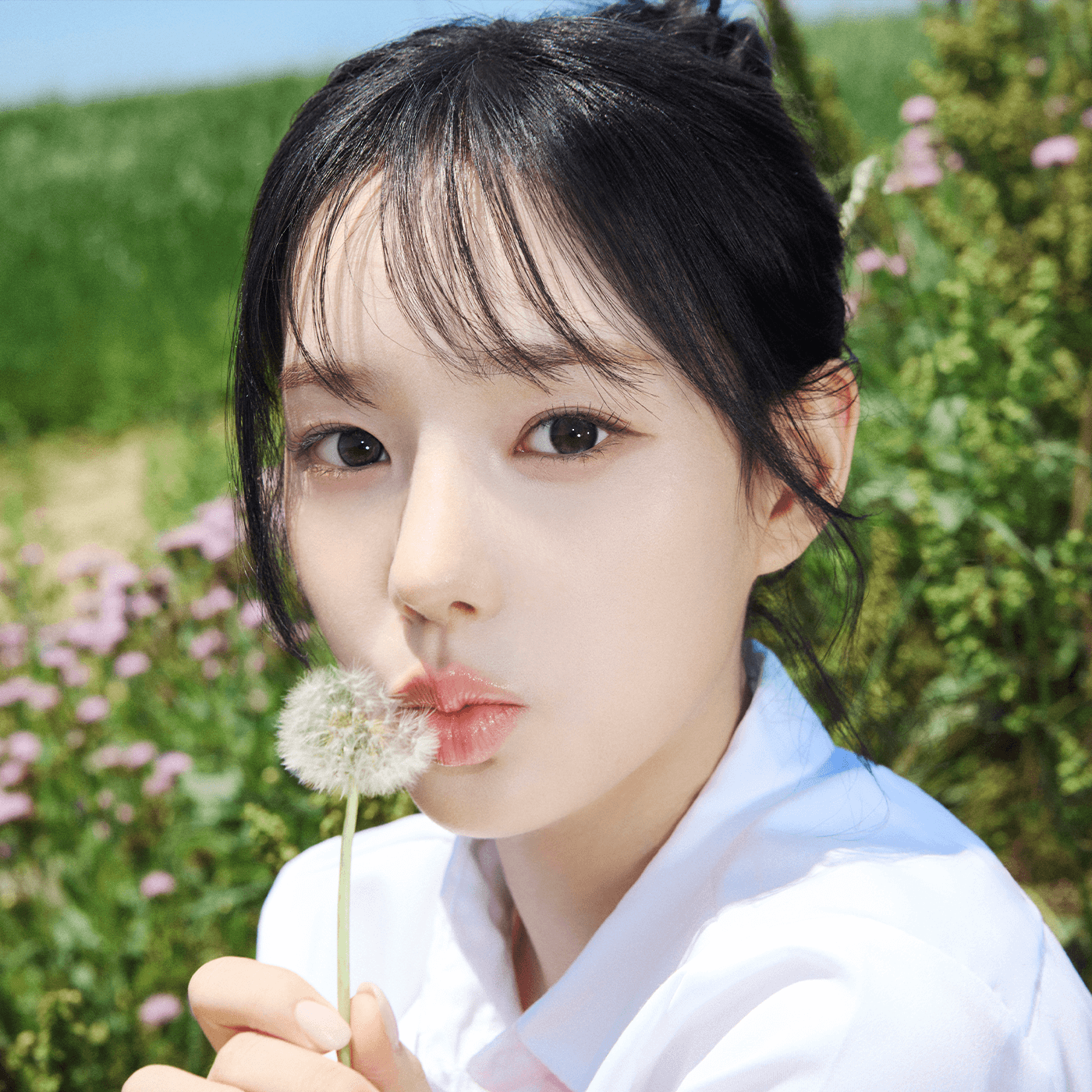 RYU SARANG of izna official profile portrait